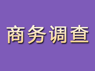 泾县商务调查